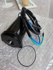 Tilt trim motore assetto inclinazione variabile