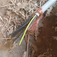 Cavo multifilare 1,5 11+1 professionale schermato