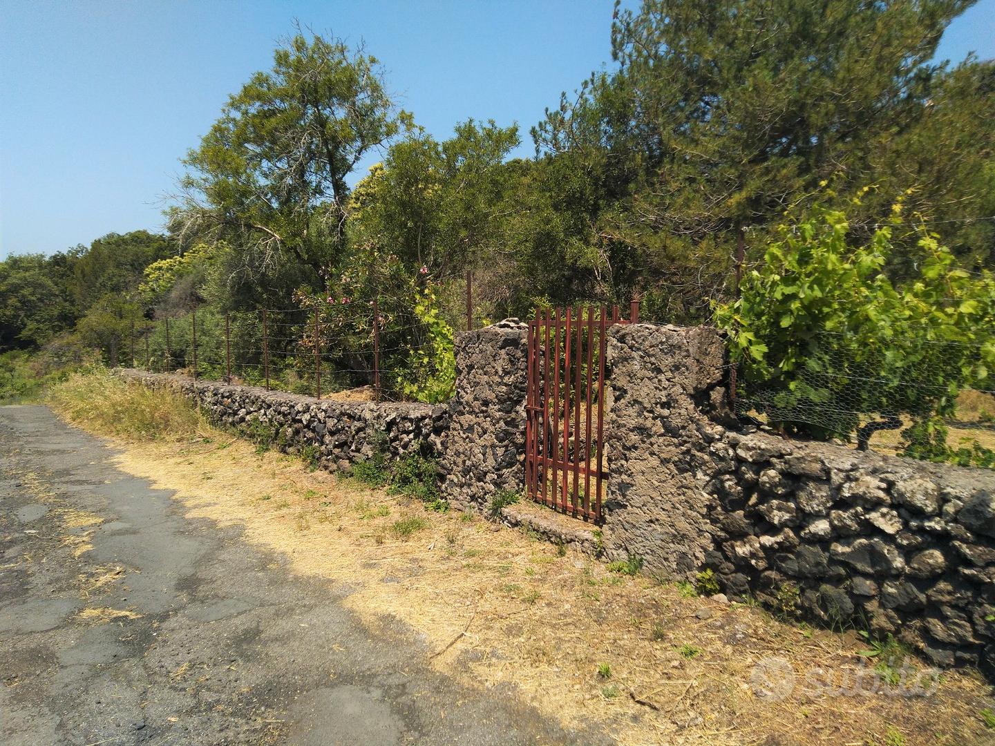 Terreno agricolo in Contrada Monte Marzo - Altro