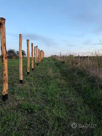 Recinzione con rete da cinghiale pesante zincata