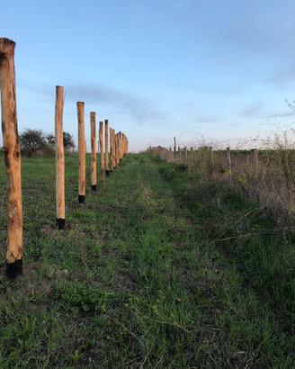 Recinzione con rete da cinghiale pesante zincata