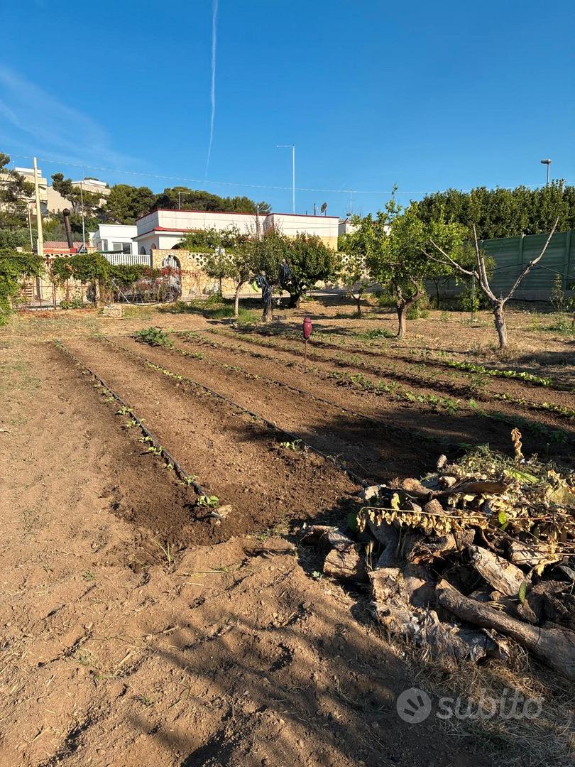 Terreno agricolo a 400 mt dal mare - Vista 5