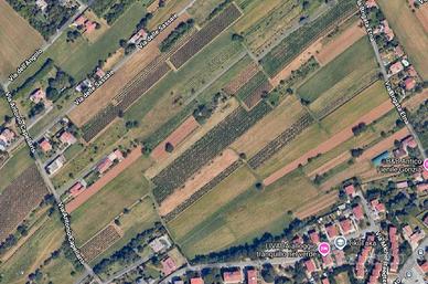 Vigneti, terreni agricoli a Gorizia e Oslavia