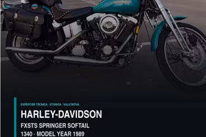 Harley-DavidsonSoftail Springer