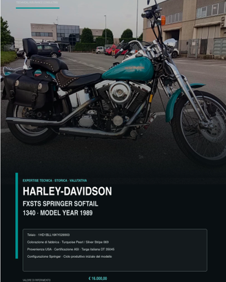 Harley-DavidsonSoftail Springer