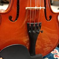 Violino 1/2 con custodia