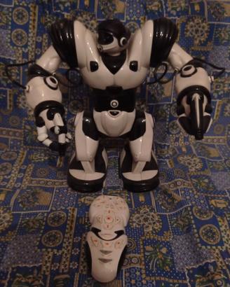 Robot