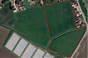 Terreno agricolo a Sermide e Felonica