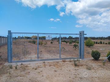 Terreno agricolo, zona Porto Cesareo