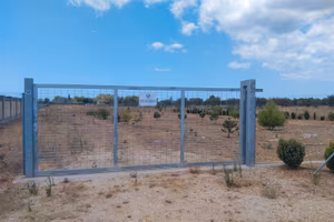 Terreno agricolo, zona Porto Cesareo