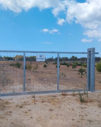 Terreno agricolo, zona Porto Cesareo