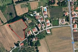 Terreno edificabile Alberoro