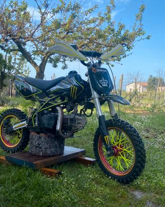 Pit Bike 150 cross