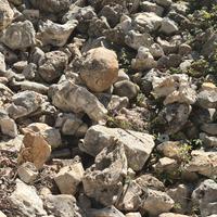 Pietre per giardino roccioso