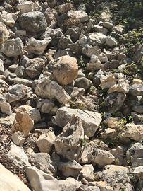 Pietre per giardino roccioso