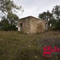 Terreno Agricolo Sorso [cod. rif6000745VRG]