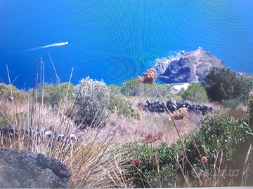 Dammuso panoramicissimo mare isola di pantelleria
