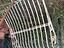 Immagine 6