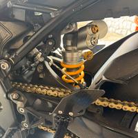 Componenti racing s1000rr ohlins-brembo-alpha rac