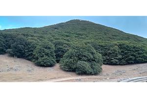 terratetto a 1km da Viù 