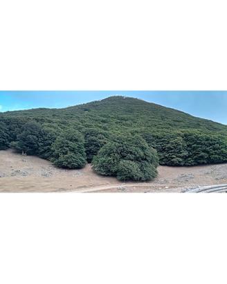 terratetto a 1km da Viù 