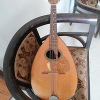 mandola 