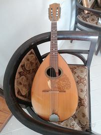 mandola 