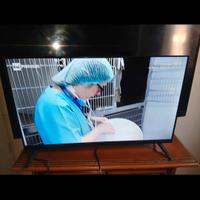 TV con decoder incorporato