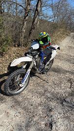 Yamaha WR450F
