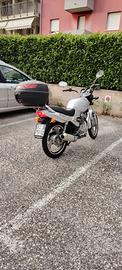 Scuter 125