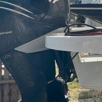 Mercury Verado L6 225cv 2018