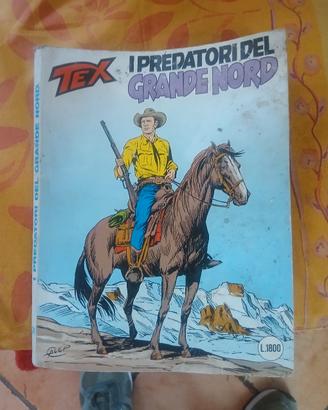 Fumetti Tex Willer