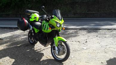 Triumph Tiger 955i  