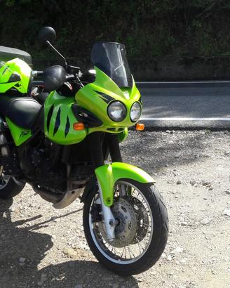Triumph Tiger 955i  