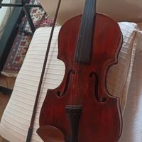 violino 