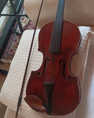 violino 