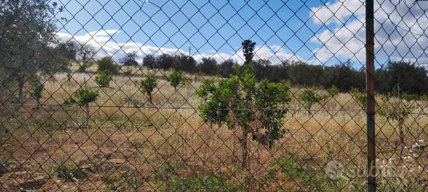 Terreno agricolo