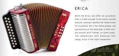 Diatonic Erica hohner