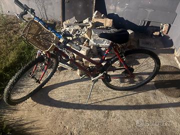 Bicicletta