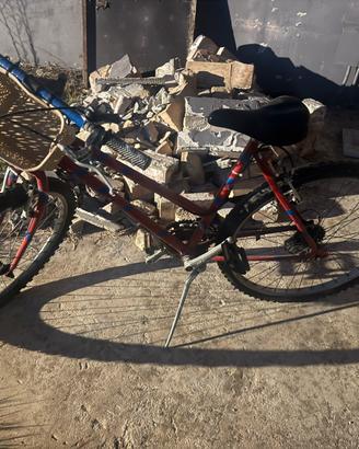 Bicicletta