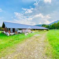 CASA INDIPENDENTE A VARISELLA