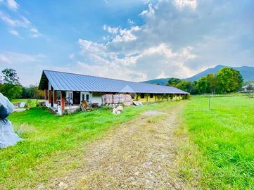 CASA INDIPENDENTE A VARISELLA