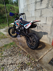 Pit bike 125 apollo