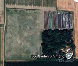 Terreno con le 22 serre e sistema di irrigazione