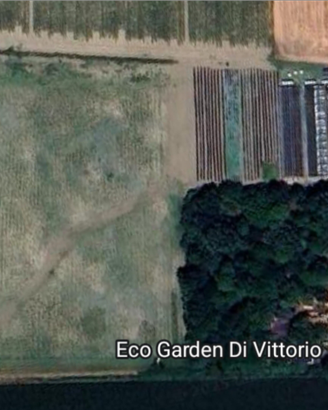 Terreno con le 22 serre e sistema di irrigazione