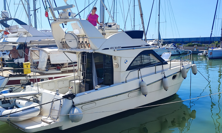 Ars mare 33 fly