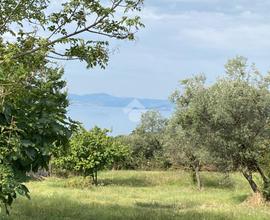 TER. AGRICOLO A BOLSENA