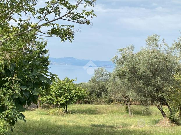 TER. AGRICOLO A BOLSENA