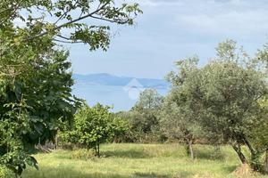 TER. AGRICOLO A BOLSENA
