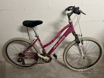 Bicicletta mountain bike